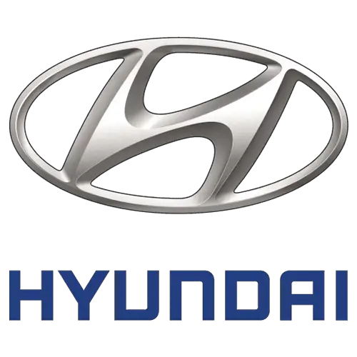 Hyundai Influencer Collaboration with Chacefit