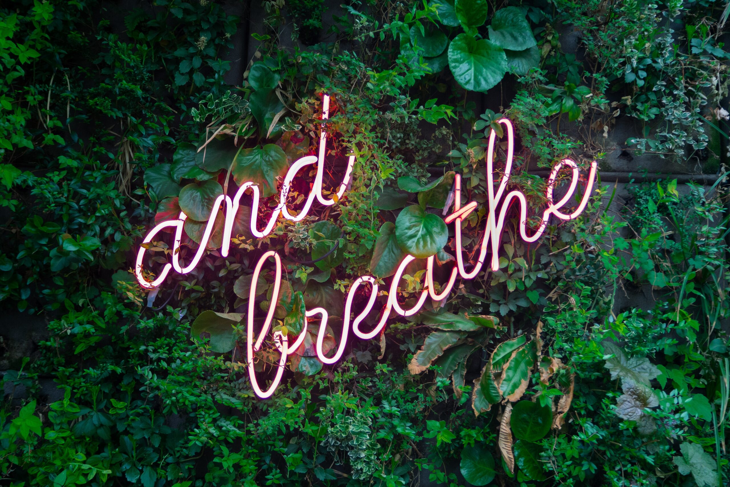 Taking a deep breath is a simple, yet effective, way to reduce anxiety